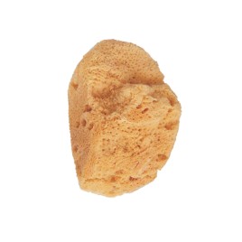 Esponja De Banho Natural Marinha Esponja De Banho Natural Marinha